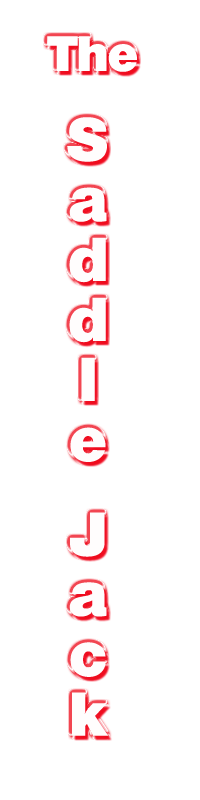 The Saddle Jack electric saddle rack can be installed in almost any horse trailer tack room.